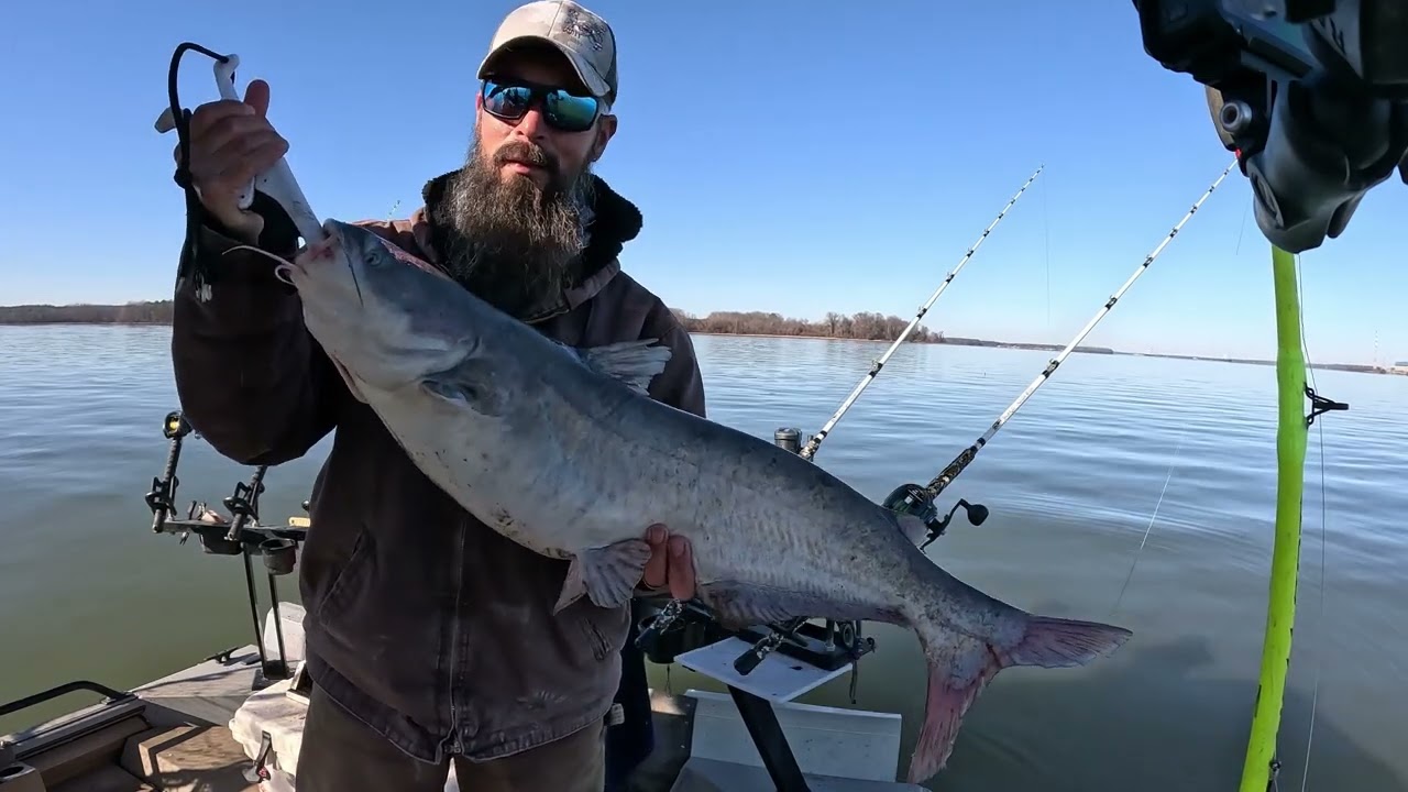 Bama Blues By Twisted Cat Outdoors Tournament Day