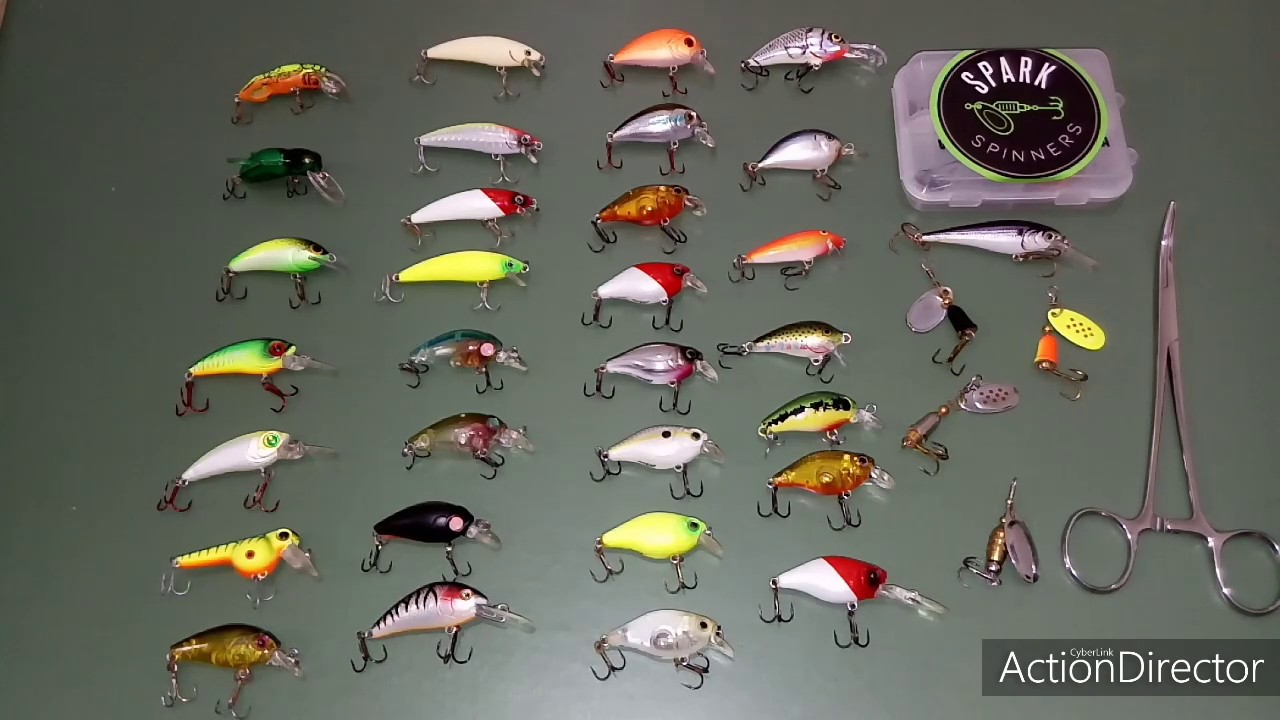 ISCAS MICRO PARA JACUNDÁ