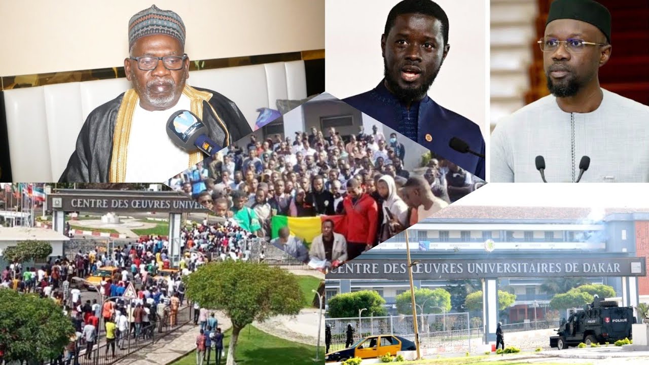 Situation universitaire du pays:Cheikh Ibrahima Diallo du PJD interpelle l’État du Sénégal.
