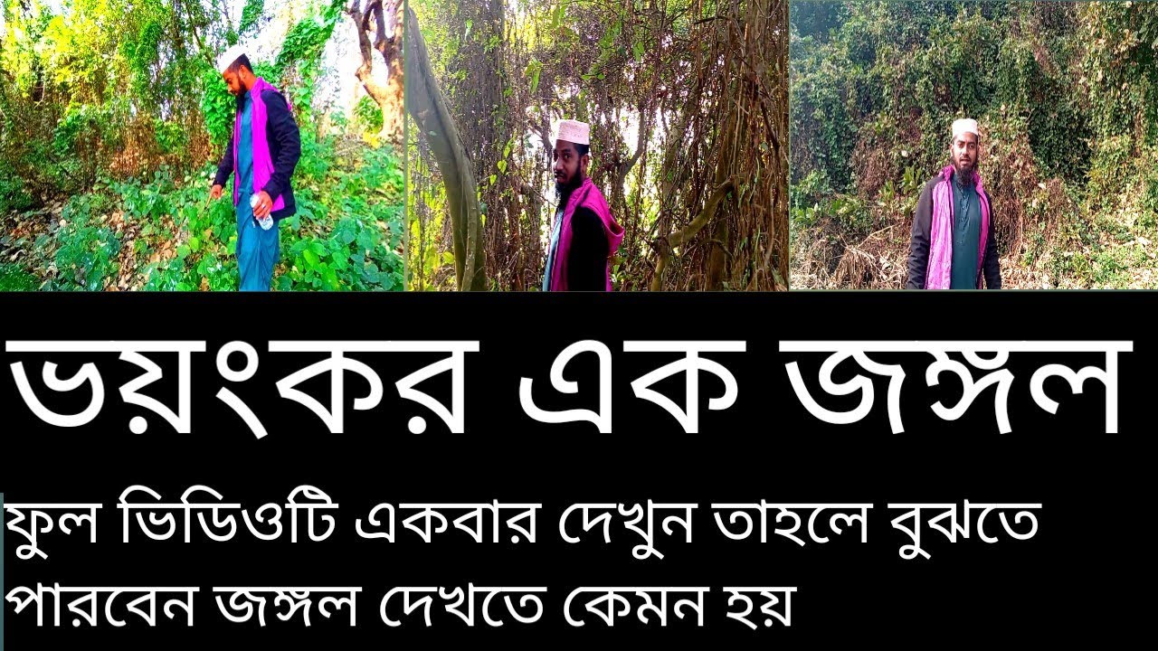 ভয়ংকর জঙ্গল||bhayankar jungle#vlog 
