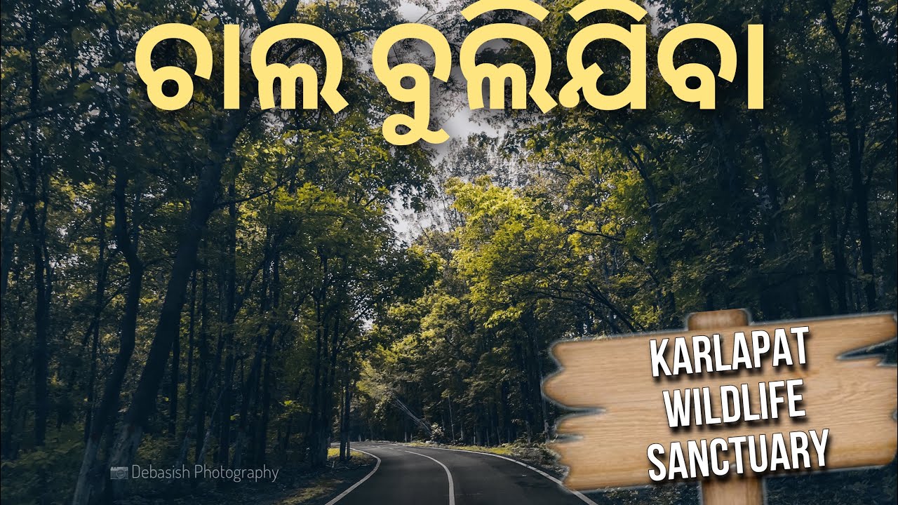 Karlapat Wildlife Santuary |କର୍ଲାପାଟ୍ ଅଭୟରାନ୍ୟ| Full Video |(HD)| Kalahandi