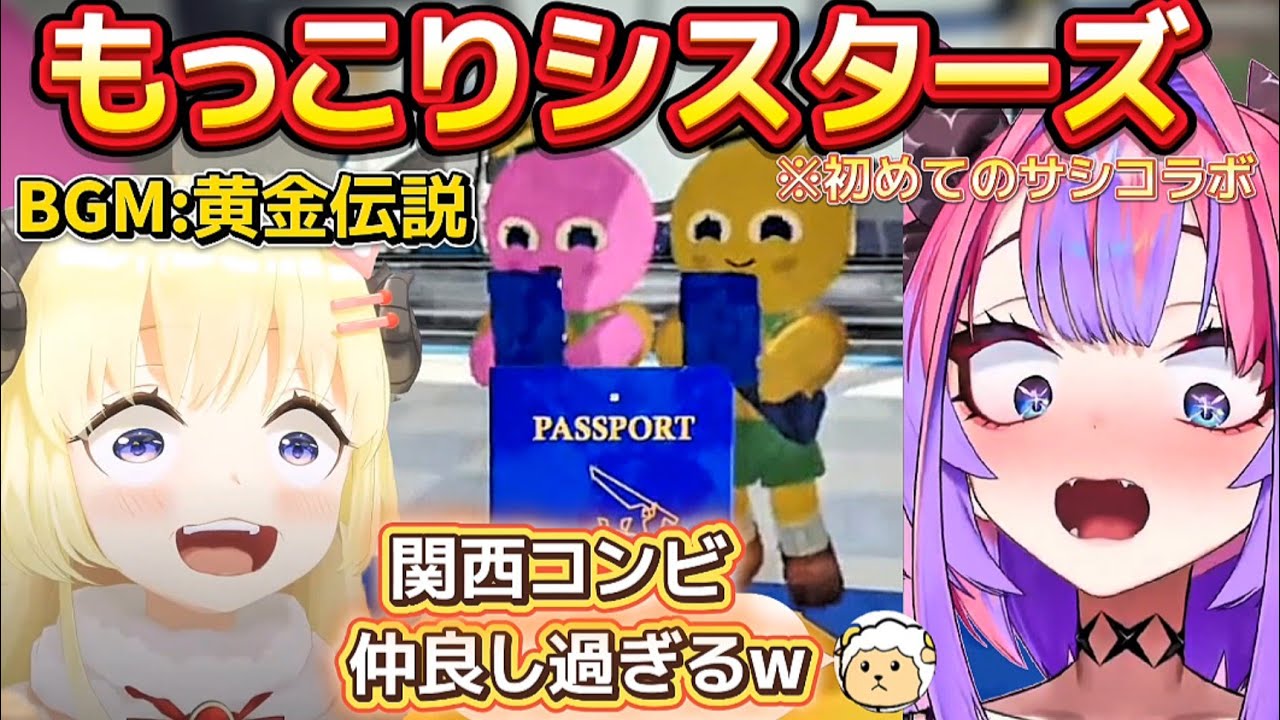 関西組の仲良しコントまとめ!ボケとツッコミ両方兼ね備えたわためとヴィヴィの始めてのサシコラボ【ホロライブ切り抜き/角巻わため/綺々羅々ヴィヴィ】