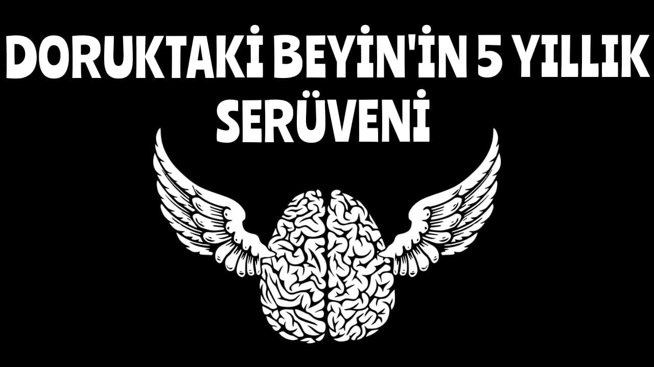 Doruktaki Beyin'in 5 Yıllık Twitter Ser&uuml;veni -1. B&ouml;l&uuml;m-