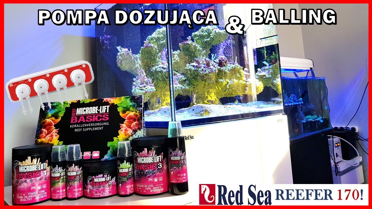 [Reefer 170] Red Sea Reefer 170 - Balling i pompa dozująca Jebao 3.4 WiFi 🐠