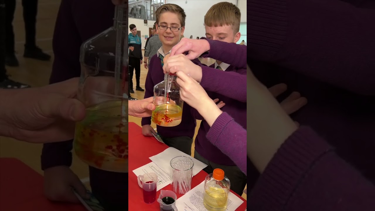 Thomond Community College Limerick Stem Expo with Regeneron