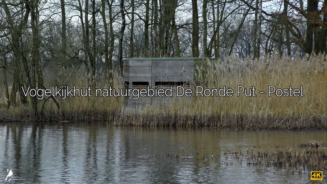 Vogelkijkhut Natuurgebied De Ronde Put - Postel 🎤