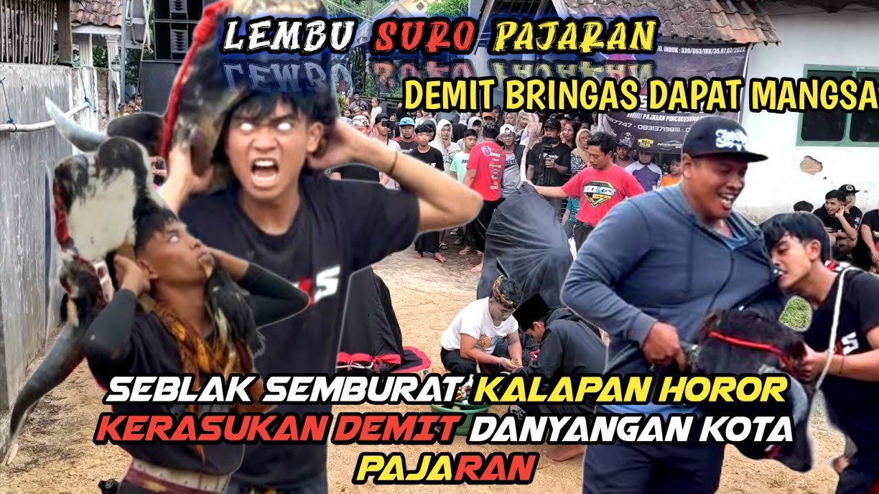 LEMBU SURO PAJARAN ❗KALAPAN MAKAN AYAM SEGAR ❗DEMIT BRINGAS DAPAT MANGSA