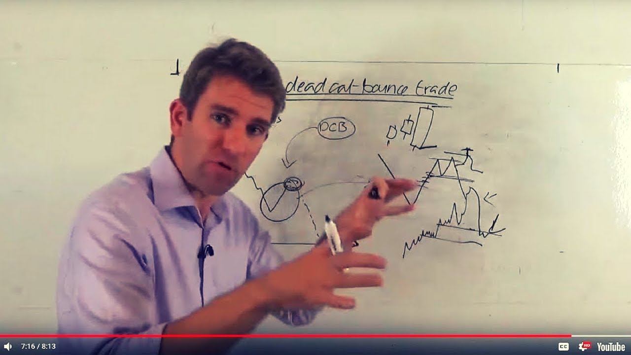 How to Trade the Dead Cat Bounce 🐱
