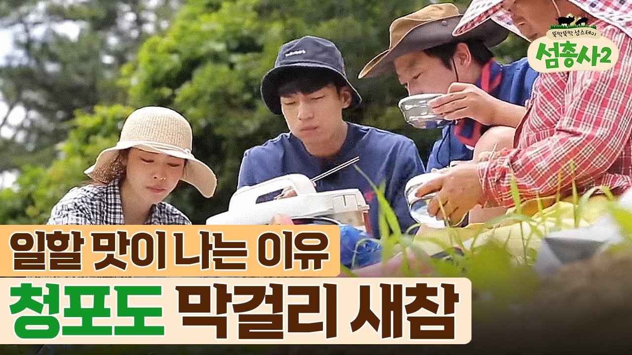즐거운 새참타임! 일하고 먹는 청포도 막걸리 한 사발의 행복 | #섬총사2