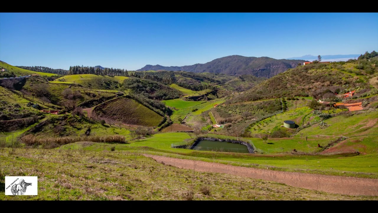 GRAN CANARIA EN VERDE 2026 enero