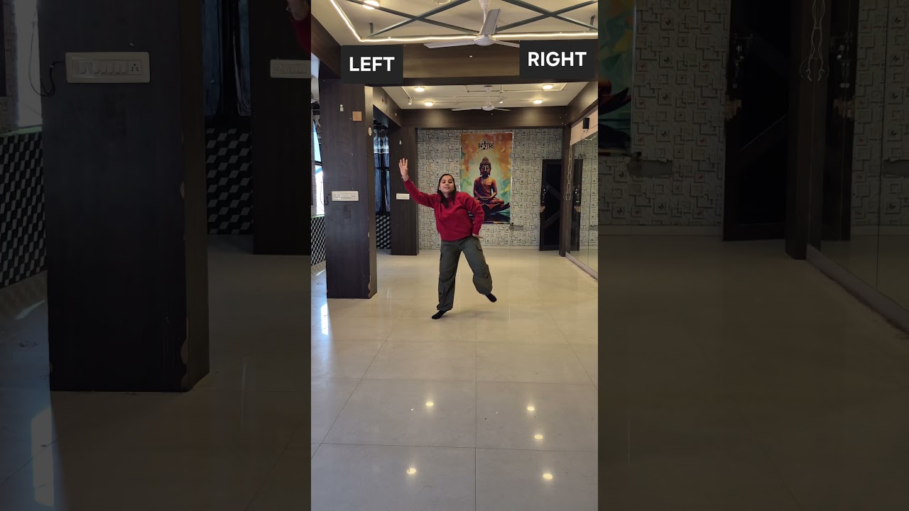 PUNJABI MC JOGI EASY TO LEARN CHOREOGRAPHY 