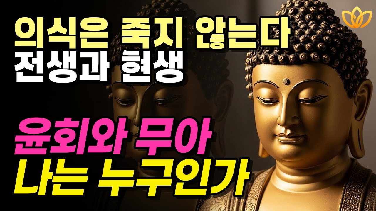 전생의 나 지금의 나 | 윤회와 무아의 진실 | 알라야식으로 보는 의식의 흐름 | 불교 철학 | 부처님 말씀 | 석가모니 | 불교명언 | 불교오디오북
