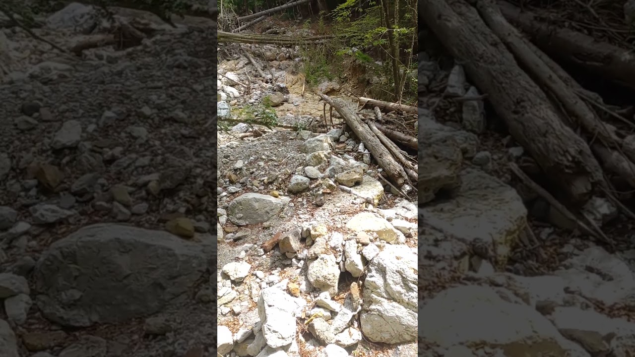 Cuc, Slovenia &ndash; Wild Trails & Hidden Nature 🌿🇸🇮