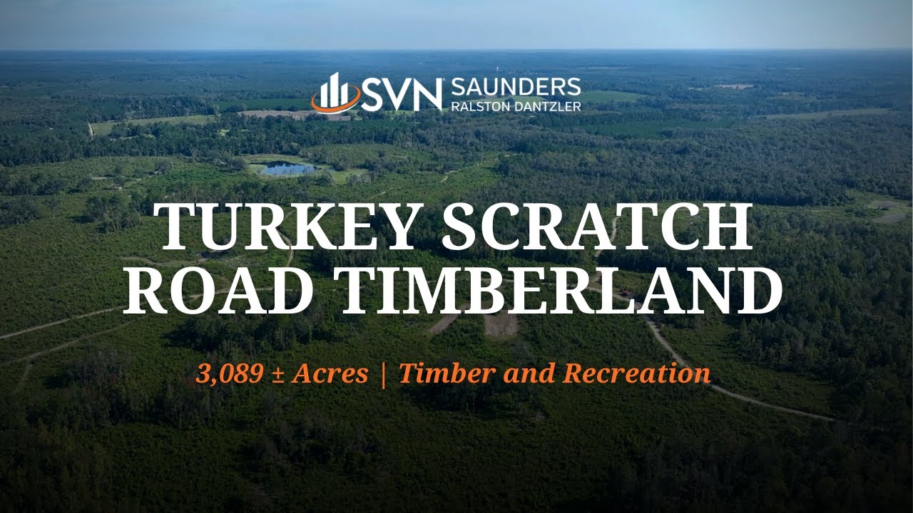 Florida Timberland For Sale | Turkey Scratch Road Timberland | 3,089 &plusmn;&nbsp;Acres | Monticello, FL
