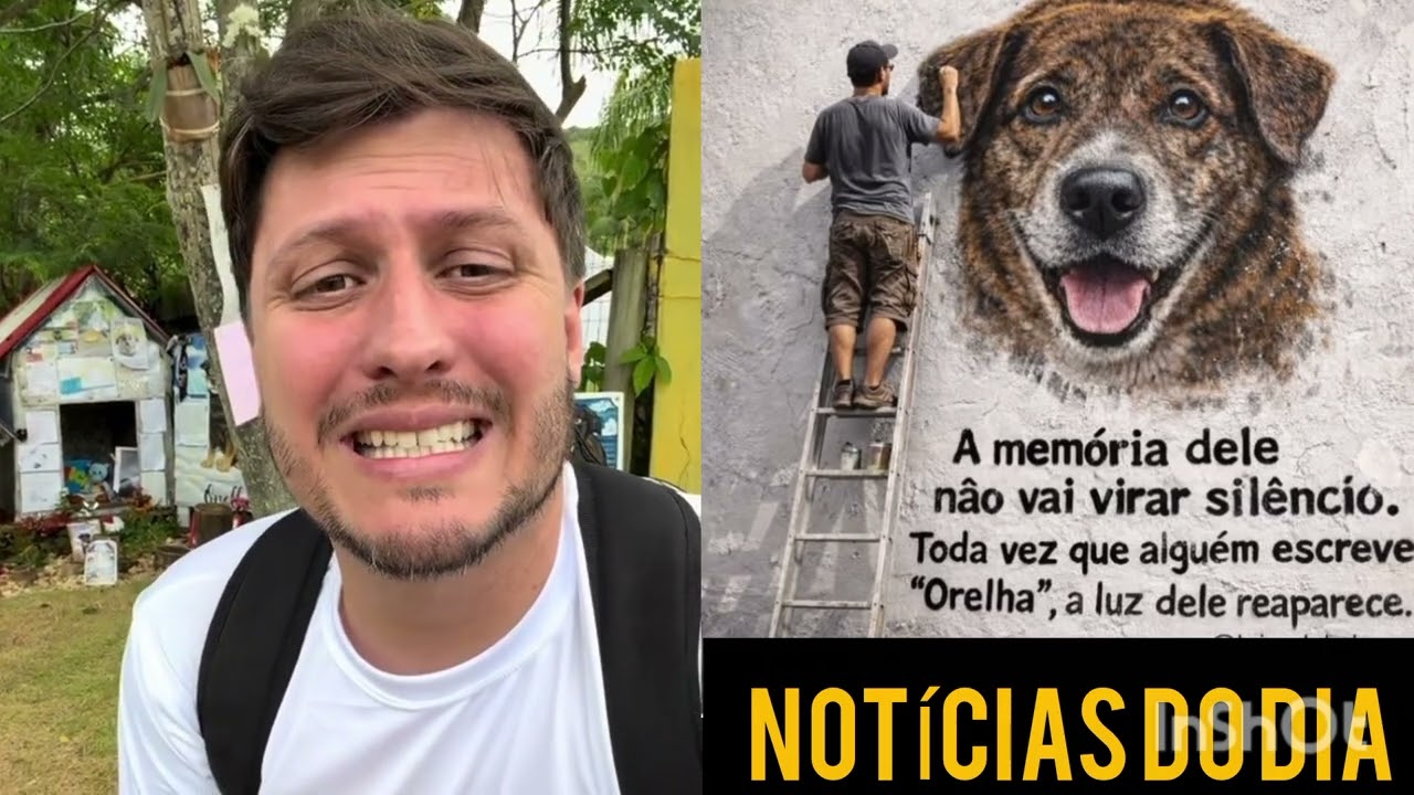 CASO ORELHA, CONFIRA TODAS AS NOVIDADES QUE ESTÃO ACONTECENDO NESTE CASO DO ANJINHO ORELHA