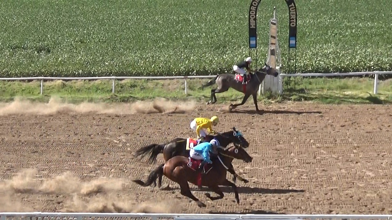 Claudioturf Hip&oacute;dromo Venado Tuerto: La Yoyi, Siempre y Cuando, Don Sebasti&aacute;n 01.03.2026