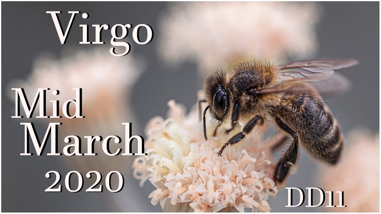 🐝VIRGO “ARCHANGEL MICHAEL GUIDANCE & AID“☀️MID MARCH 2020 GENERAL & LOVE READING