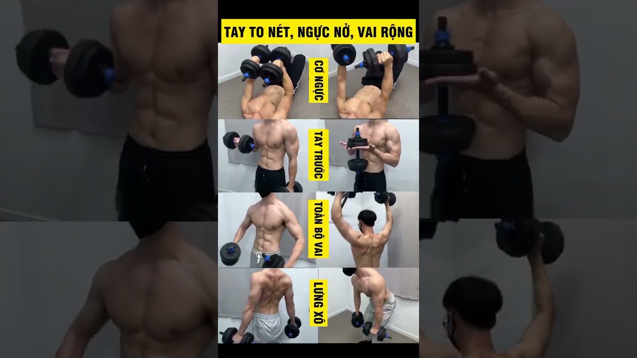 C&aacute;c b&agrave;i tập với tạ đơn || Tay to, vai rộng chuẩn men. #gym #gymhome #donglucsport #shorts