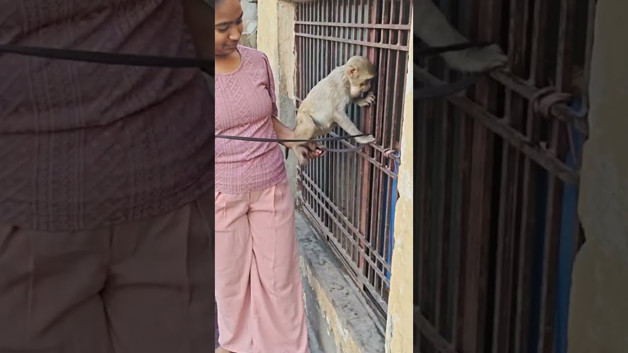 Bharat Mata Premi is live