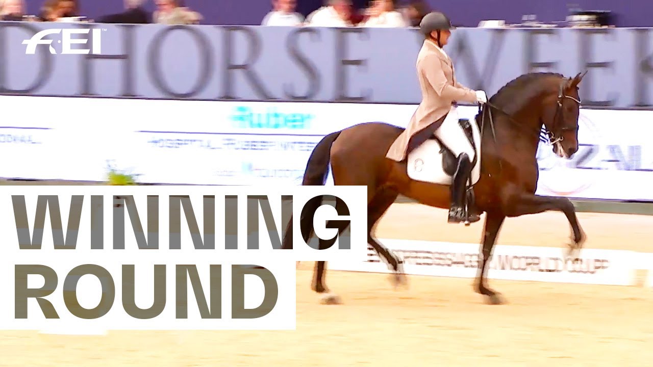What a performance from Jose Daniel Martin Dockx & Malagueno LXXXIII  | FEI Dressage World Cup™ 2023