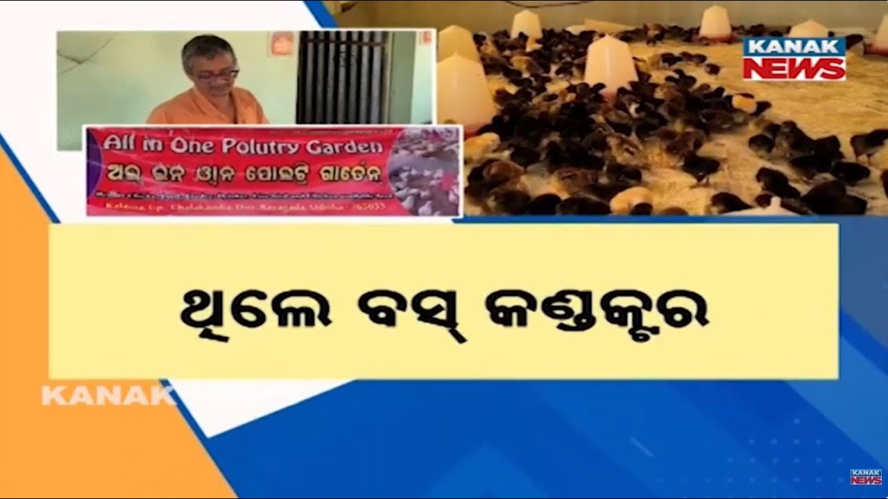 Bazaar Halchaal: Young Farmer Builds Success Through Poultry Farming in Rayagada