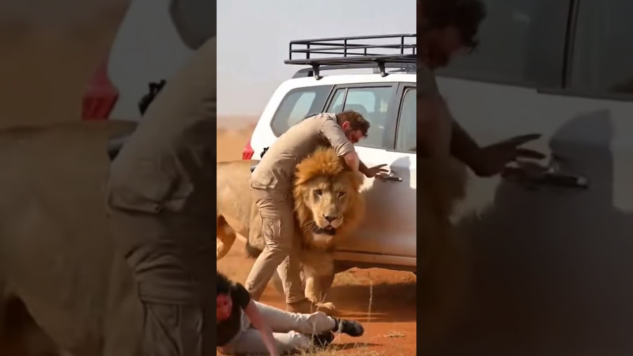 LEAVE NO ONE BEHIND! 🦁 Heart-stopping Safari Rescue