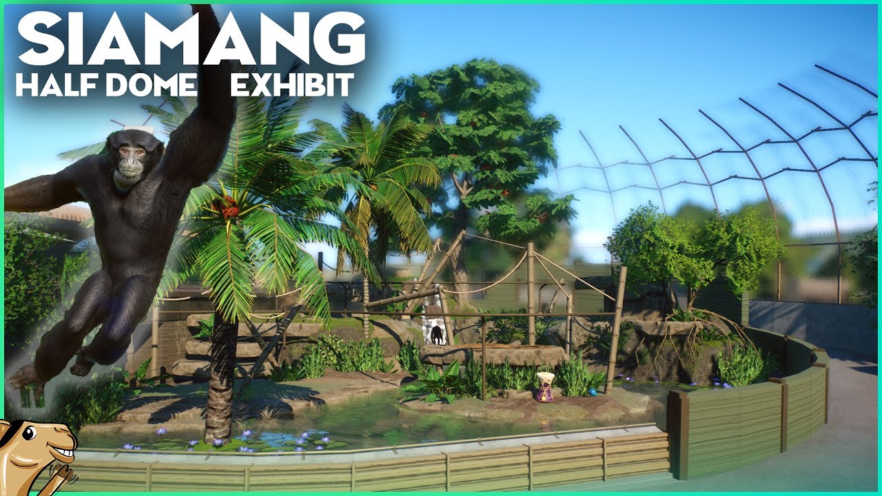 🐒 HALF DOME Siamang Exhibit Speedbuild - Planet Zoo Conservation Pack DLC