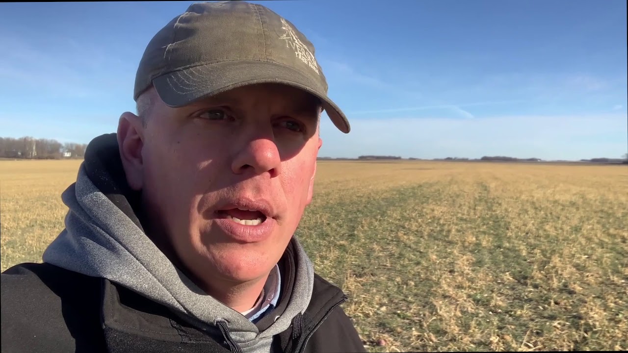 Fall Grazing Covers in December after Winter Rye Grain Harvest