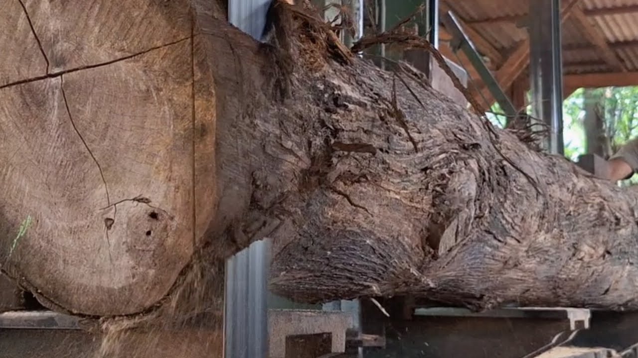 Teak wood  block making processs in a sawmill 