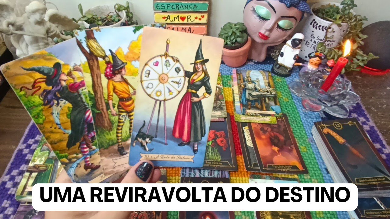 💥 TUA VIDA MUDA DA ÁGUA PRO VINHO, PARA ALEGRIA DE ALGUNS E DESESPERO DE MUITOS 🌹💃 PADILHA ALERTA
