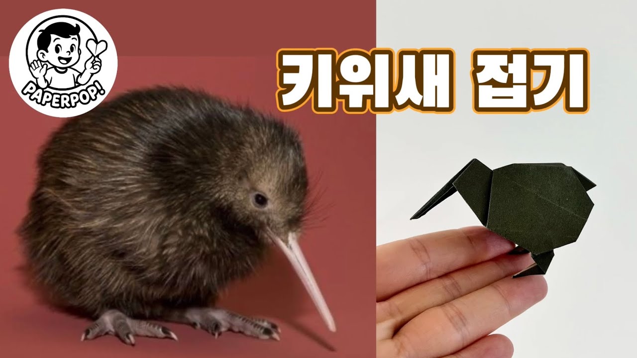 키위새 종이접기 [페이퍼팝!]