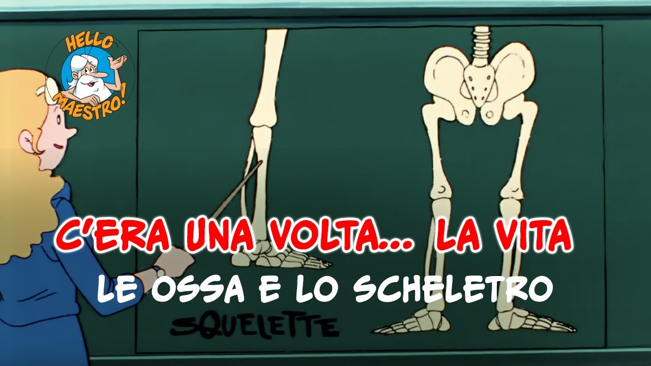 Siamo fatti cos&igrave;... la vita 🌱- Le ossa e lo scheletro 🦴