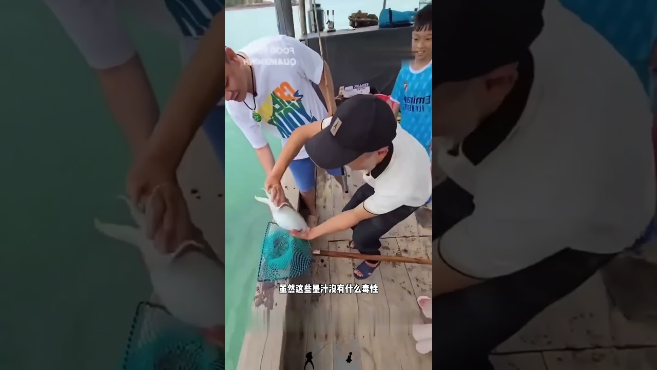 鱿鱼墨汁如果喷在身上是很难清理干净的@youfishtv