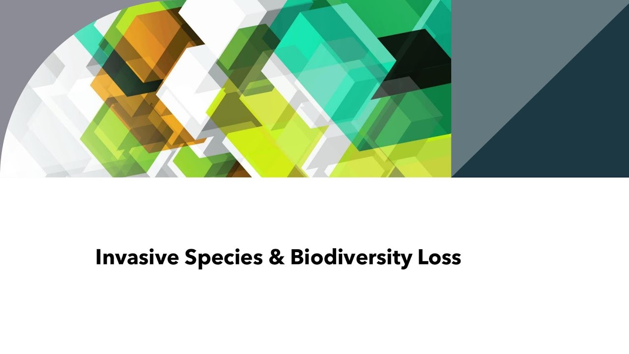 Invasive Species & Biodiversity Loss | UPSC Mains Questions + Prelims MCQs with Explanation