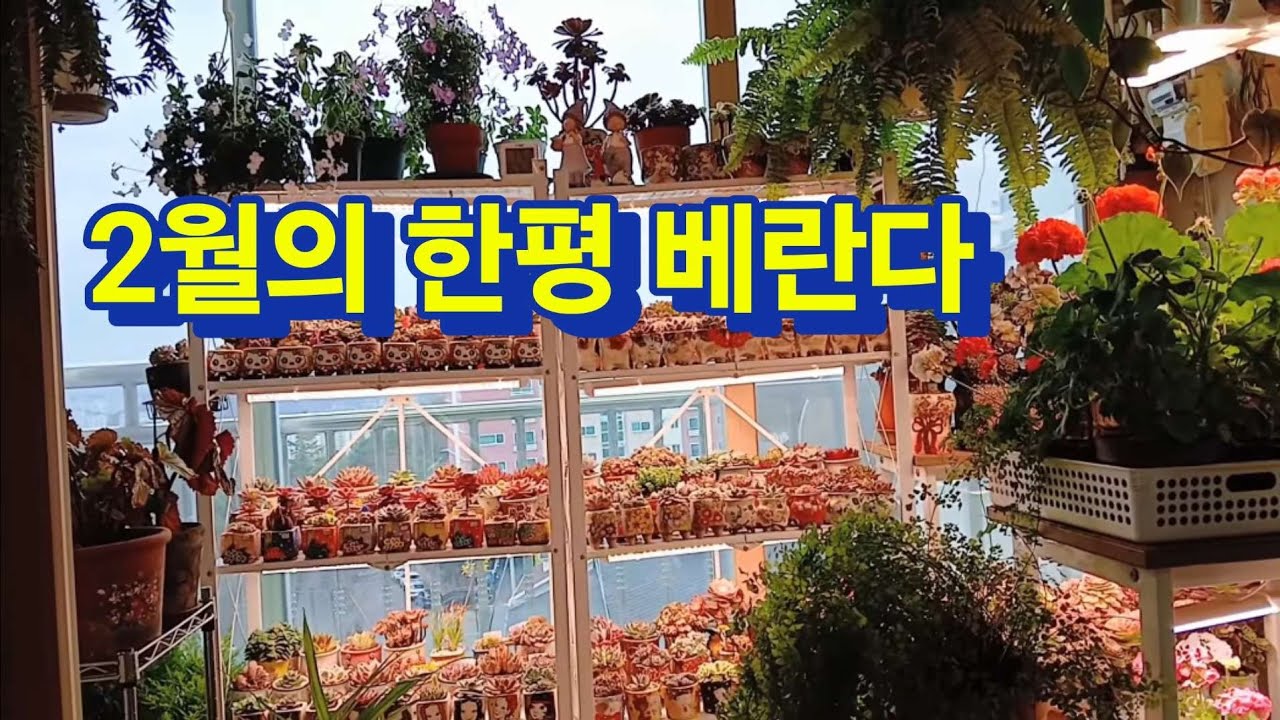 2월의 한평정원 모습으로 힐링하세요