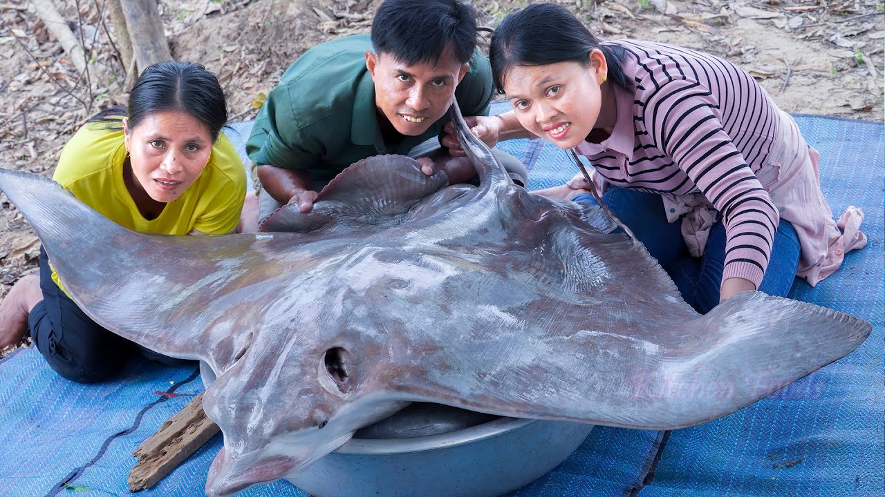 Amazing Video! Giant Stingray Fish Stir-Fried Ginger | Seafood Stingray Cutting & Cooking Food