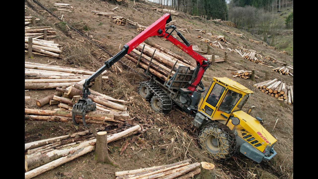 🌲Welte & T.Winch 10.2 • Welte in Slope • PCM-Forst • Traktionswinde & Hang • Mit Ausblick 🌲