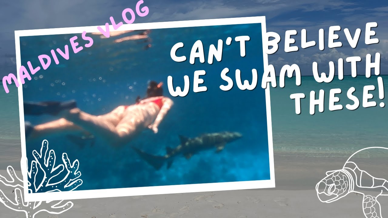 We Swam With Sharks!! Fulidhoo, Maldives Vlog