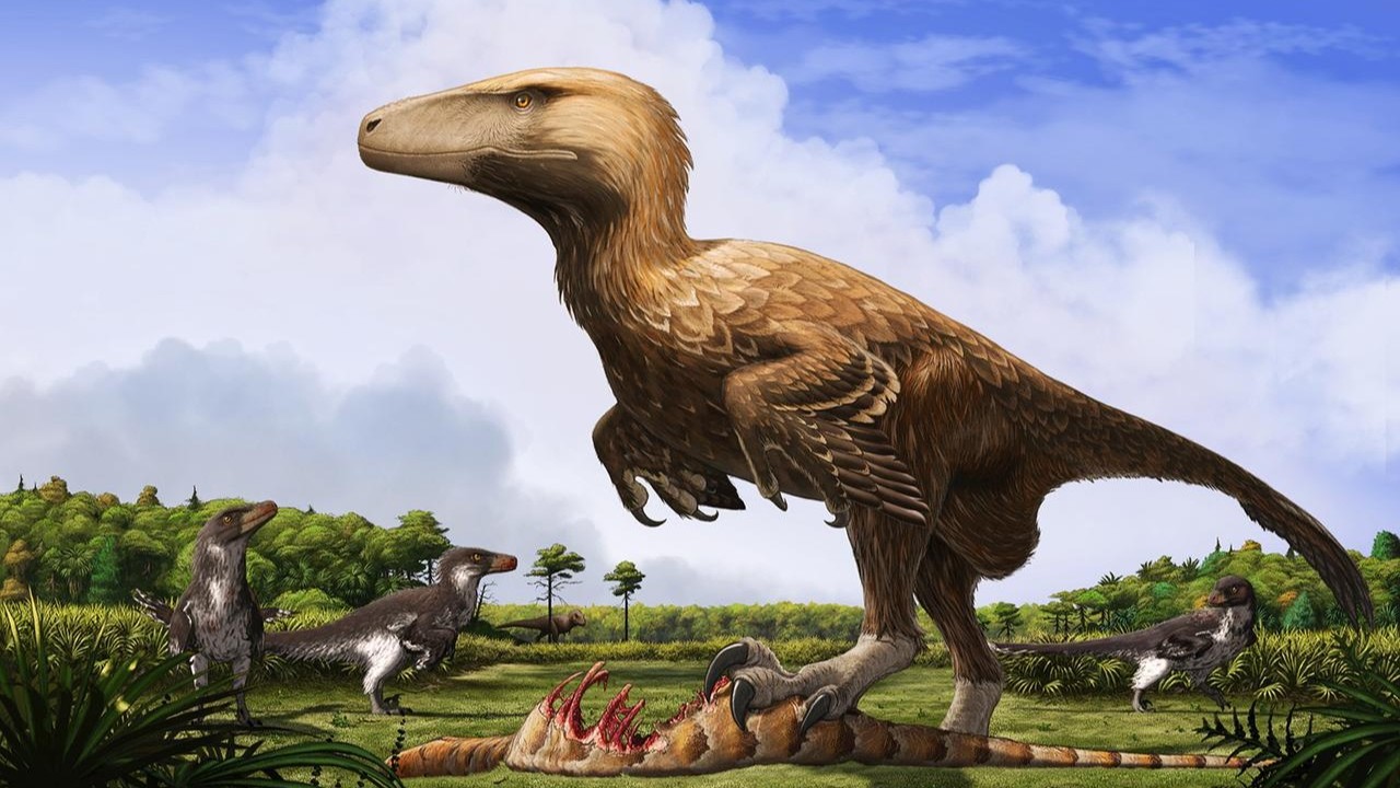 Ravenous Raptors: Exploring the Evolution of Dromaeosaurids