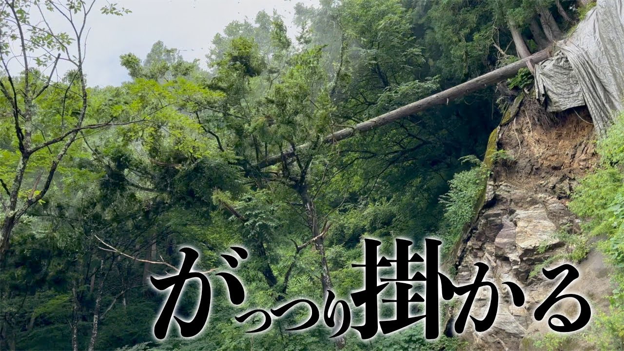 【伐倒失敗】派手にヤラかす！そこからのリカバリー