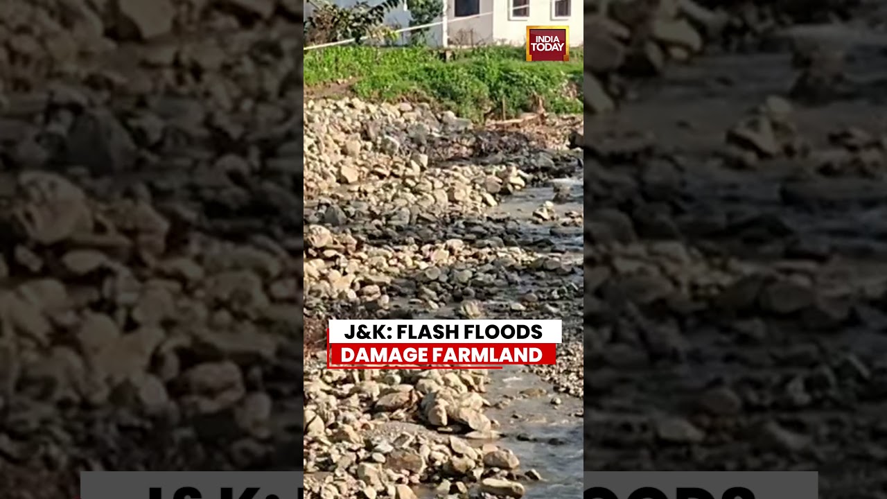 J&K News: Rajouri Flash Floods Damage Farmland In Saaj, Plangher Areas #jammu #kashmir #weather