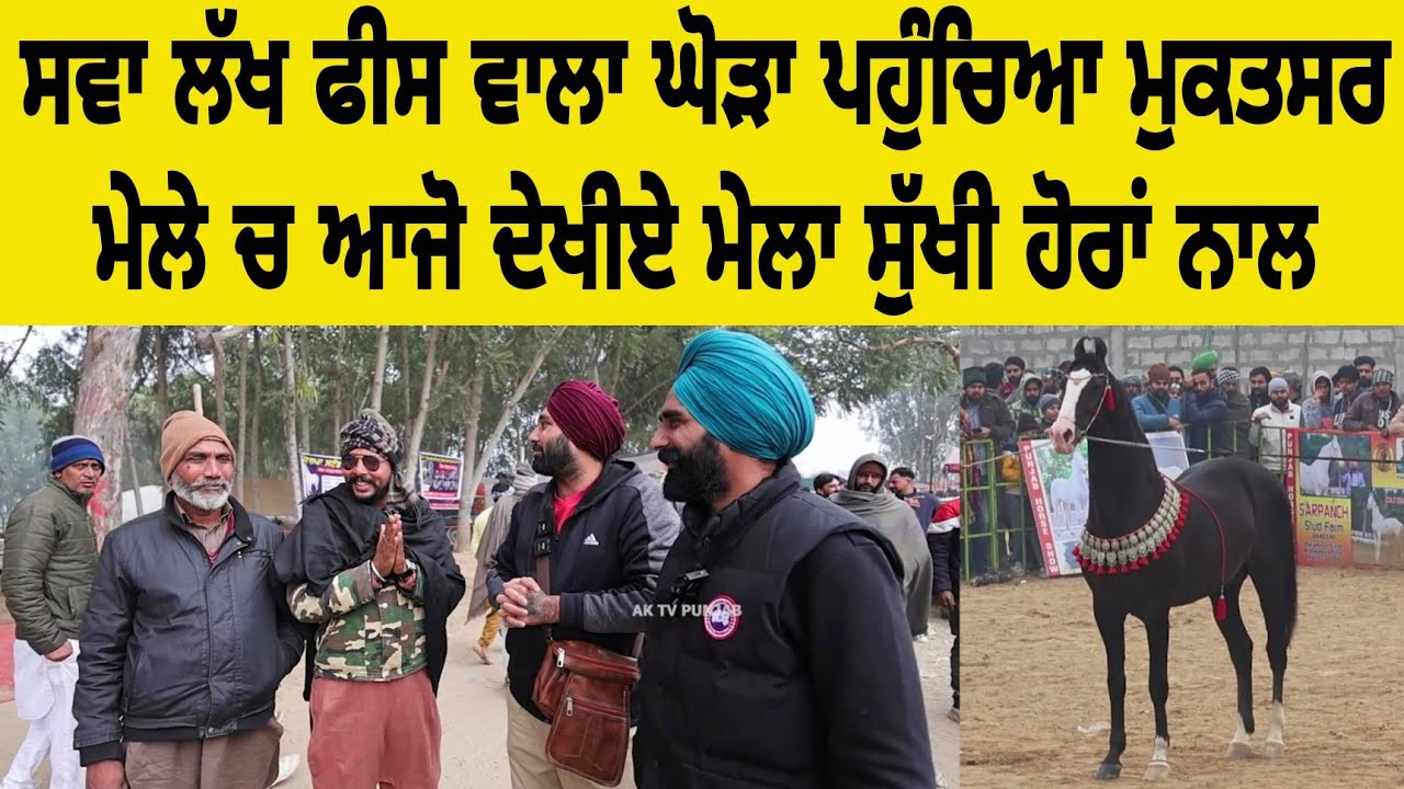 ਸਵਾ ਲੱਖ ਫੀਸ ਵਾਲਾ ਘੋੜਾ ਪਹੁੰਚਿਆ ਮੁਕਤਸਰ ਮੇਲੇ ਚ ਆਜੋ ਦੇਖੀਏ ਮੇਲਾ ਸੁੱਖੀ ਹੋਰਾਂ ਨਾਲ HORSE MELA MUKTSAR SAHIB