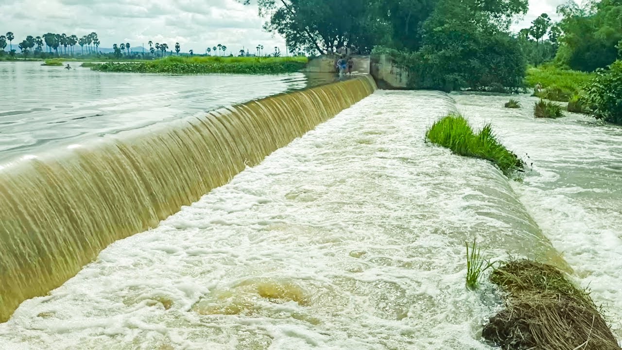 Hard Work To Remove Grass Grow Clogged Massive Dam Drain