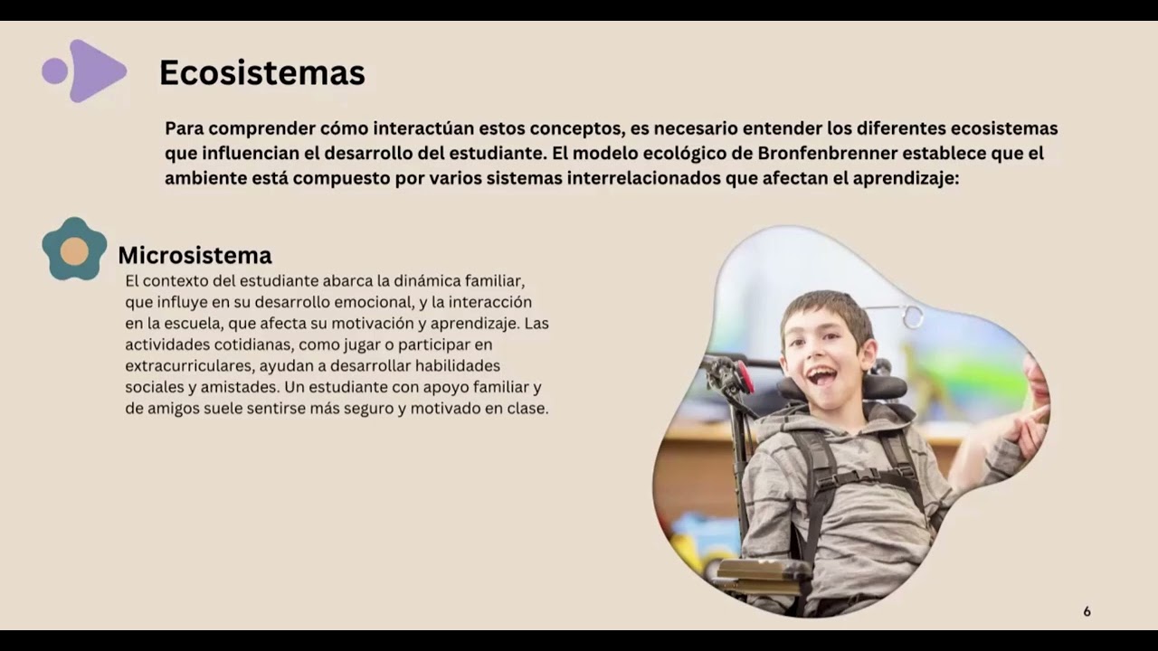 Modelo Ecológico Funcional - Educación inclusiva