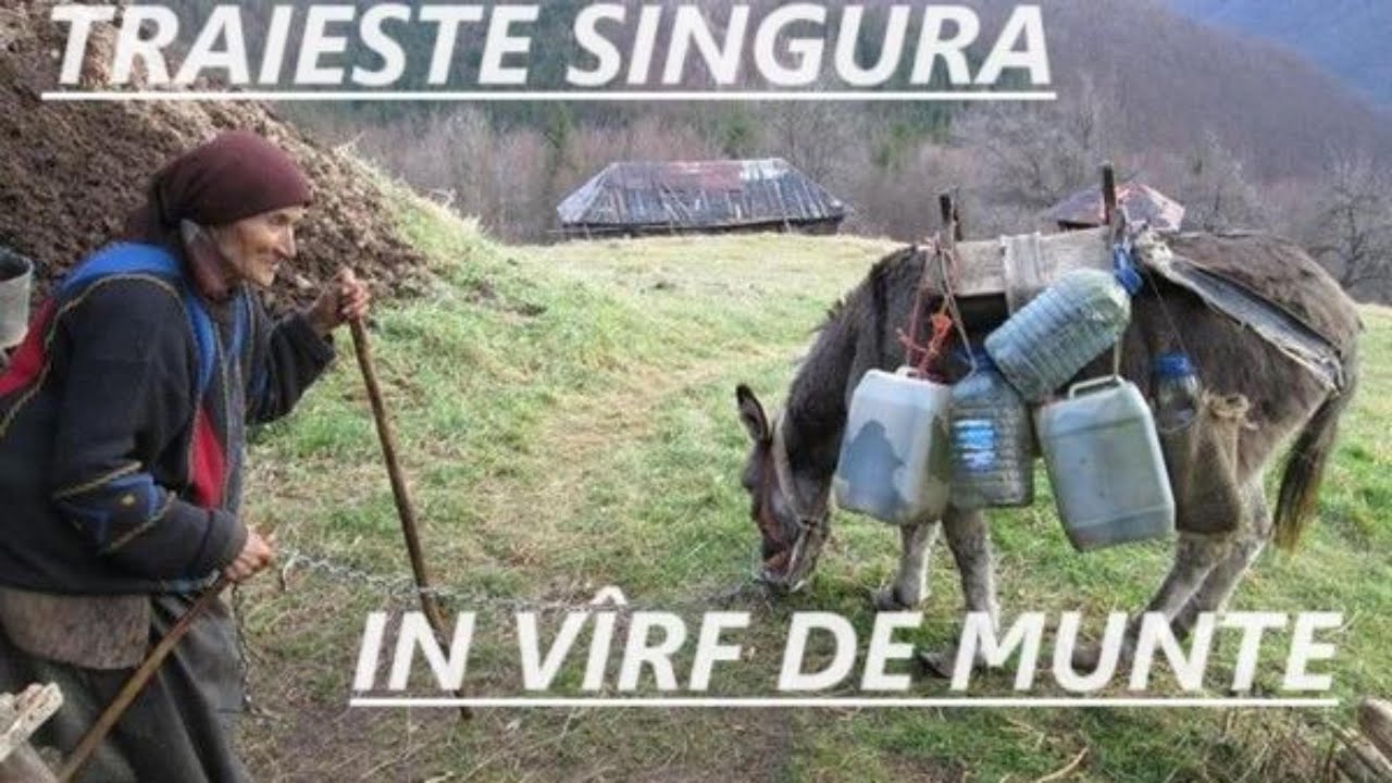 SINGURĂ IN VÎRF DE MUNTE