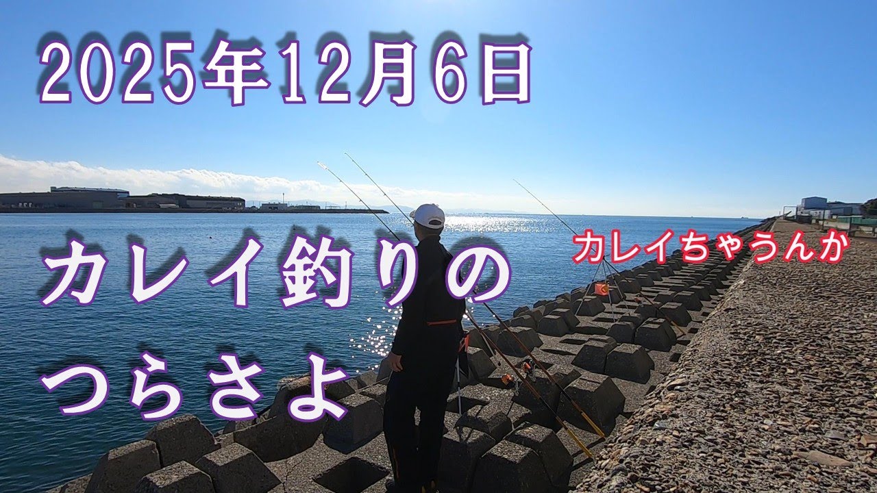 【投げ釣り】_カレイ釣り_兵庫県南西部_カレイ釣りの辛さ