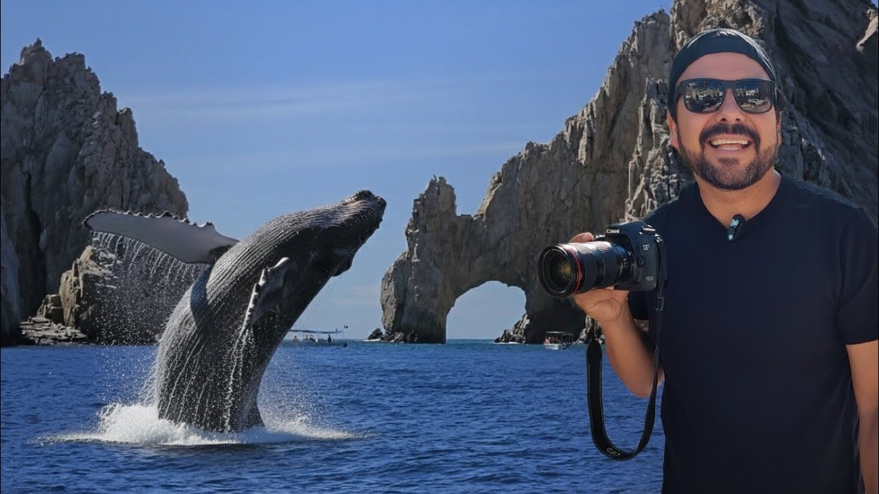 Temporada de Ballenas en LOS CABOS ✅️ Reserva tu Tour CON NOSOTROS / SERGIO VAZQUEZ