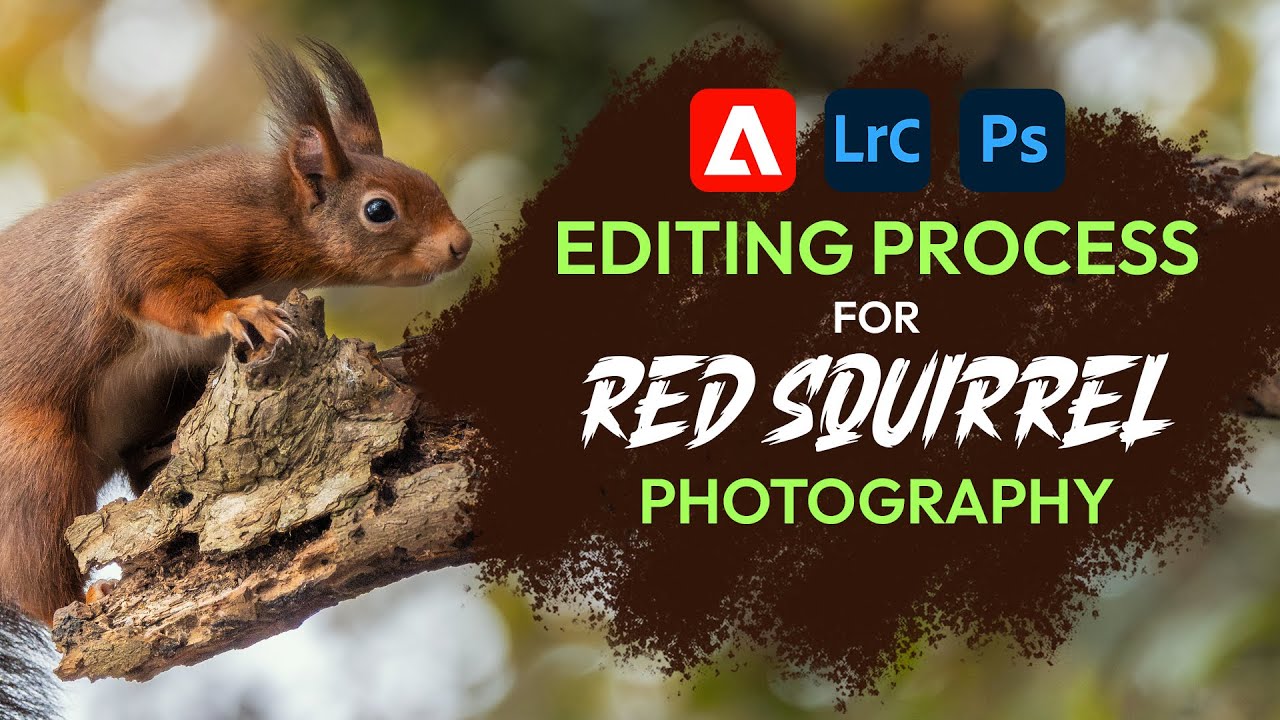 PHOTOGRAPHY EDITING TUTORIAL, Red Squirrels in Wales - Episode 9, 2024