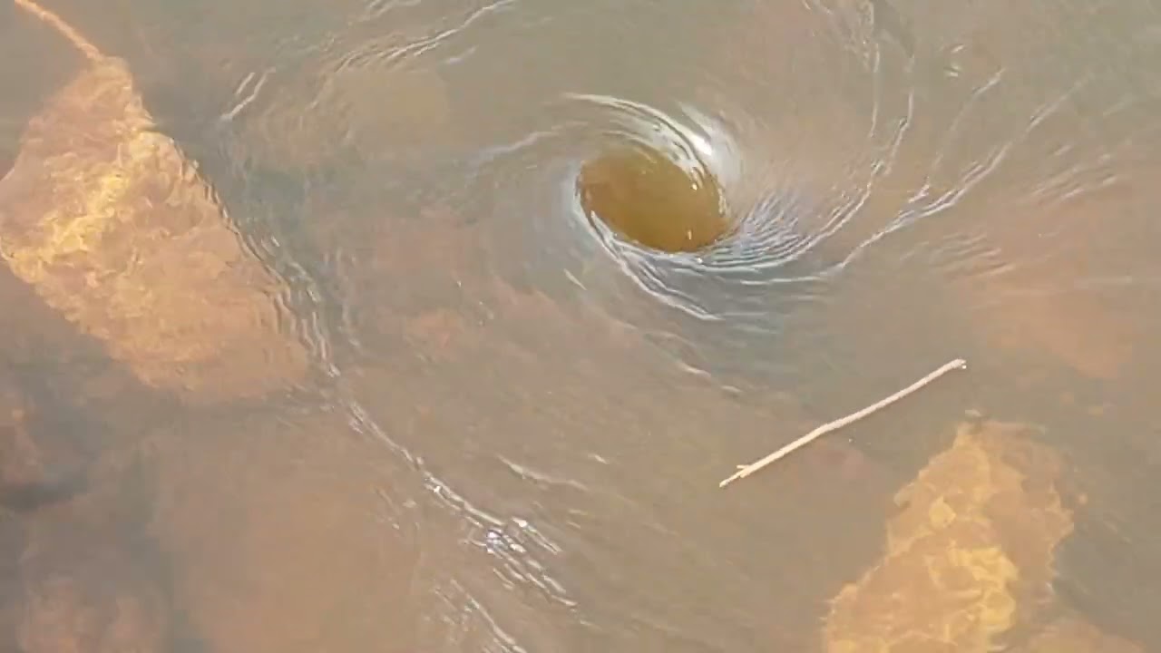 🌉 connecting budalangi (osieko island) and siaya(Usenge)