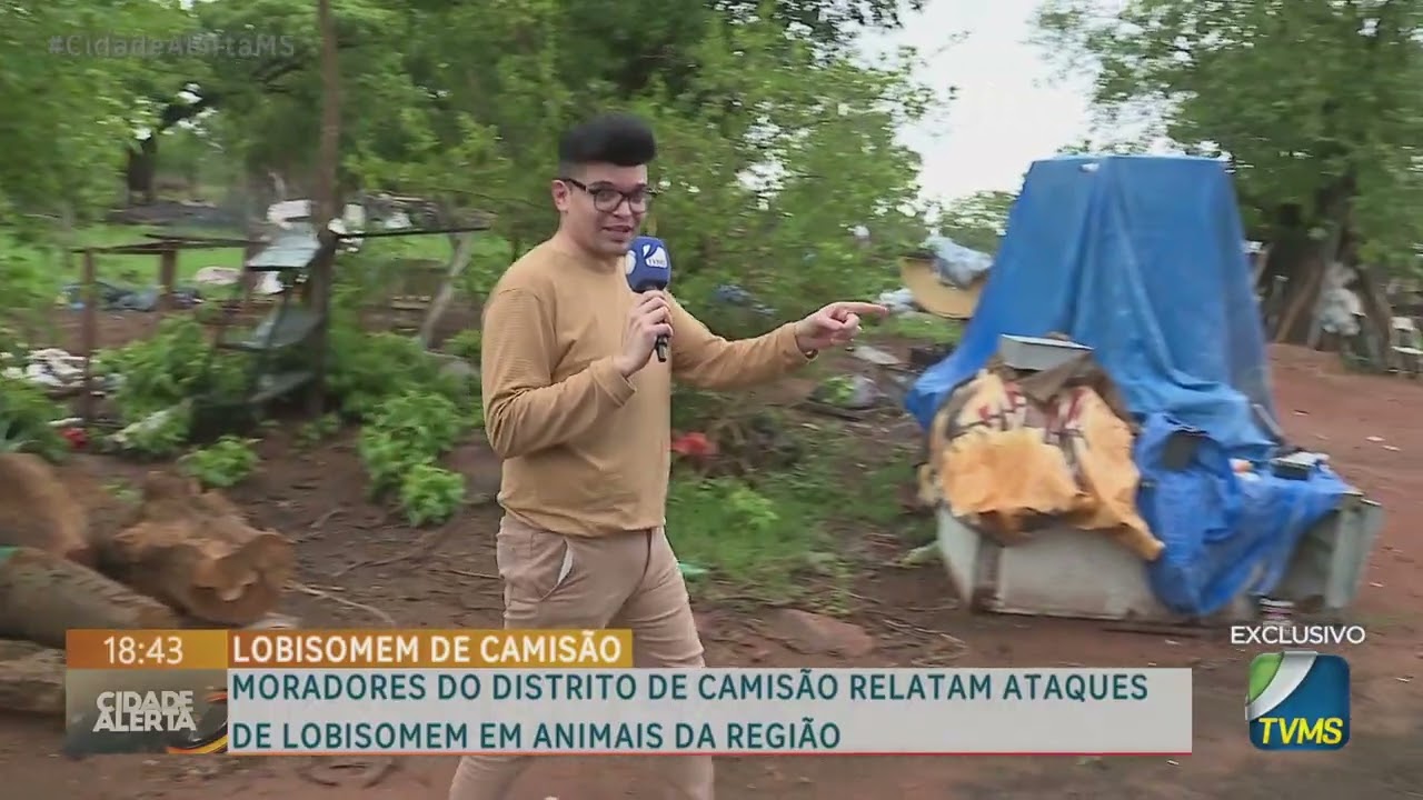 Moradores do Distrito de Camisão relatam ataques de lobisomem em animais da Região